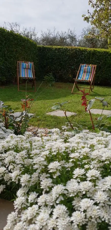 Apartma Jelka Novigrad  Apartment