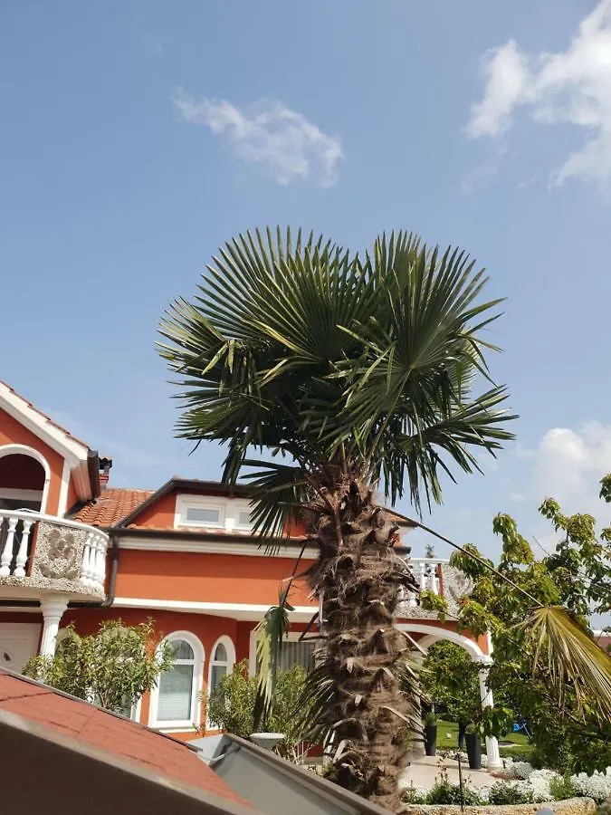 Apartma Jelka Novigrad  0*, Novigrad (Istria)