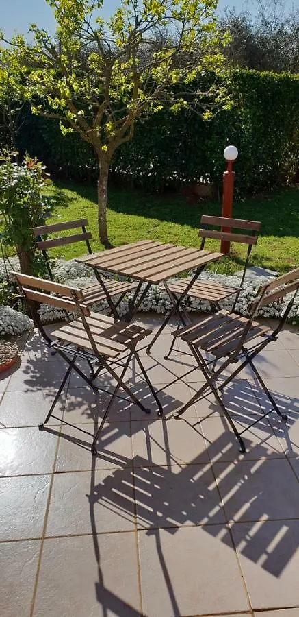 Apartma Jelka Novigrad  Croatia